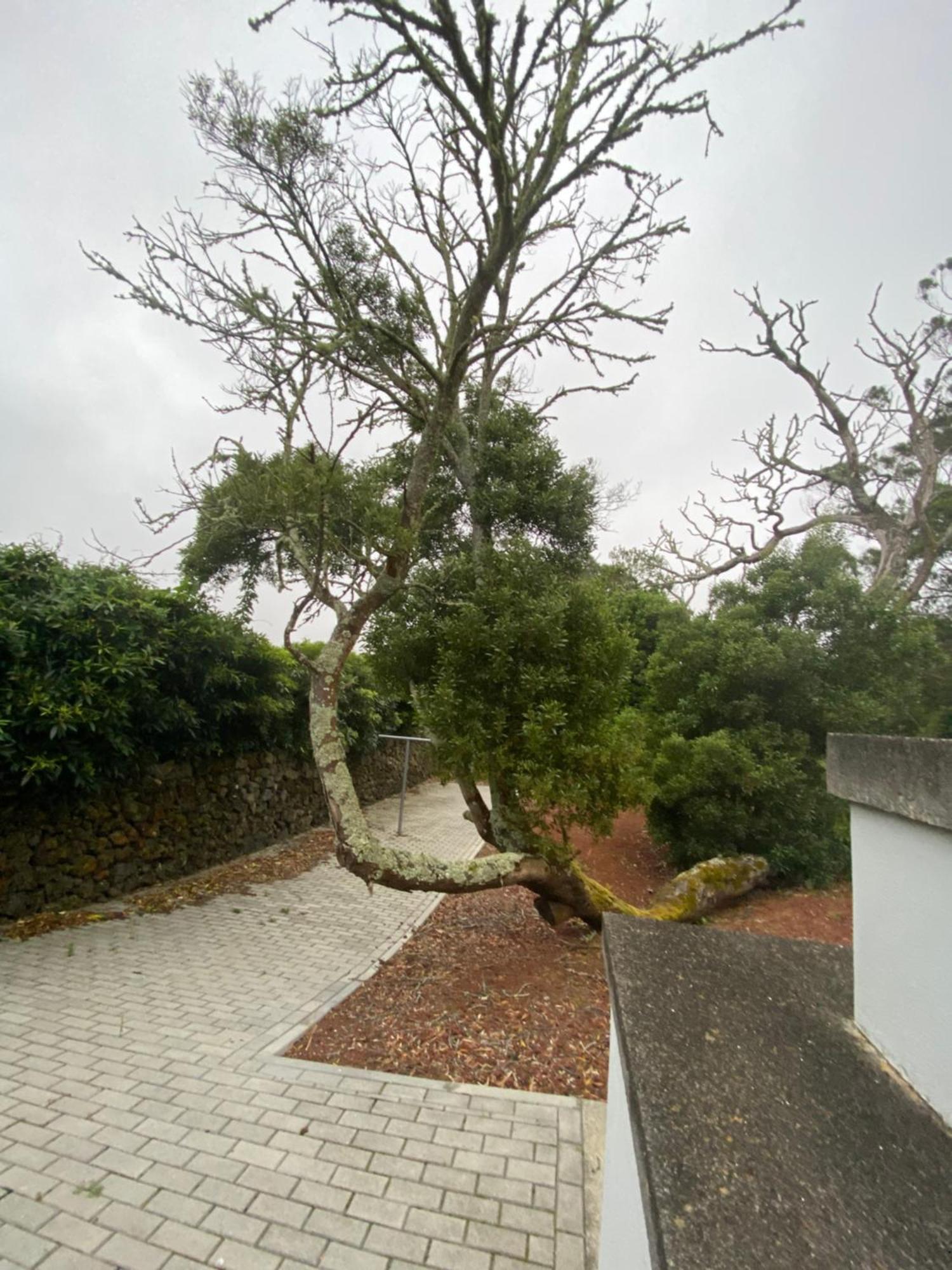 Casa Azul Terceira Island Azores Fonte do Bustardo Luaran gambar